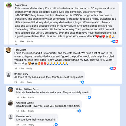 Omnipet Stainless Steel Water Fountain